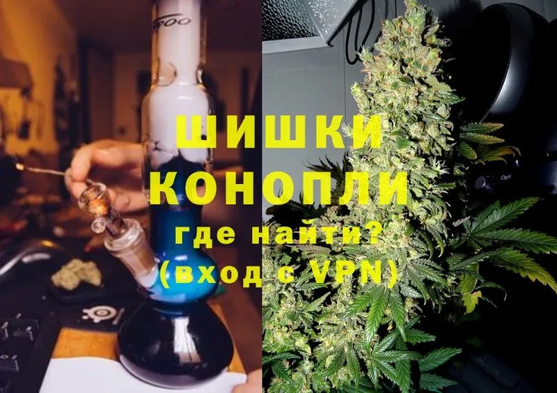 наркотики  Муром  Конопля OG Kush 